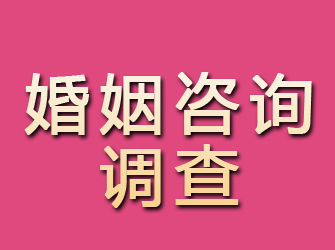 汶川婚姻咨询调查