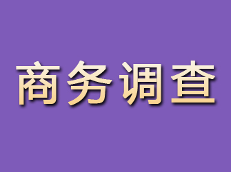 汶川商务调查